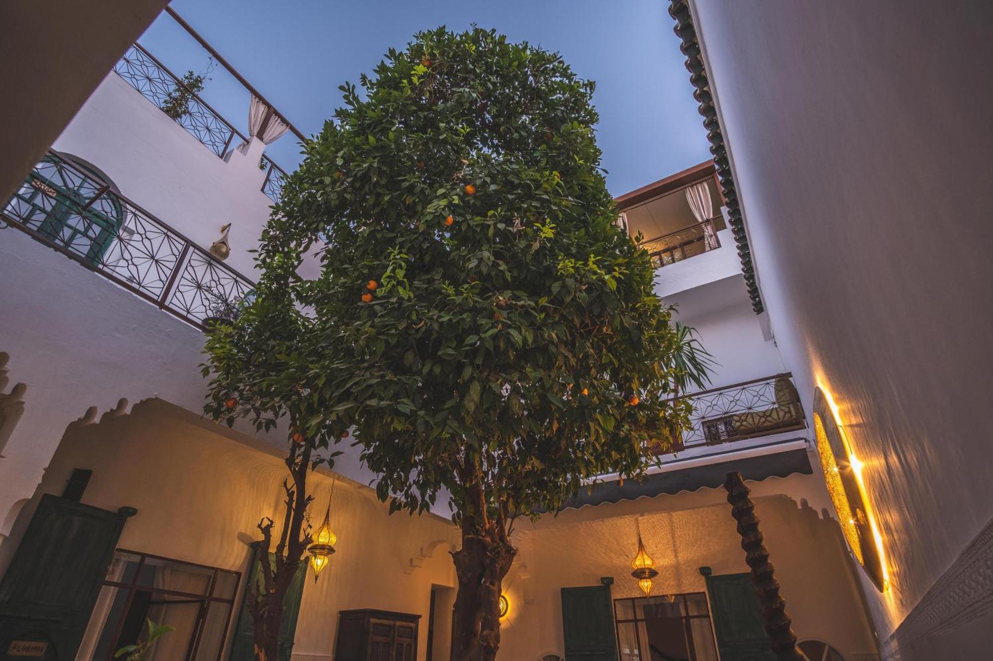 Riad Villa Berna Under Swiss Management Marrakesz Zewnętrze zdjęcie